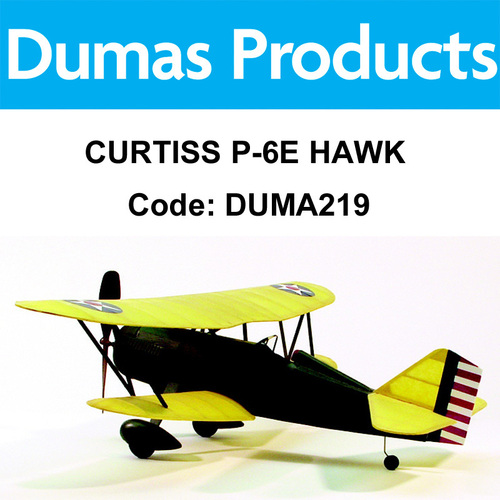 R/Powered Curtiss P6E Hawk 17.5 Wing