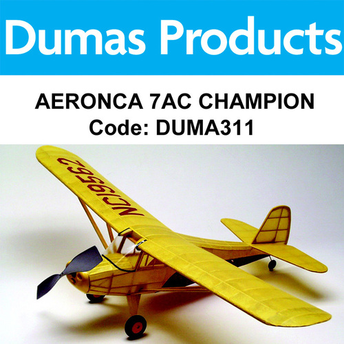 R/Powered Aeronca Champion 30 Wing