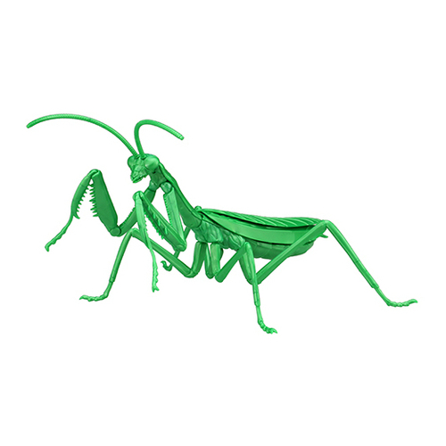 Fujimi - Biology Edition Big Mantis (Metallic Green) (FI No.23 EX-3) Plastic Model Kit [17111]