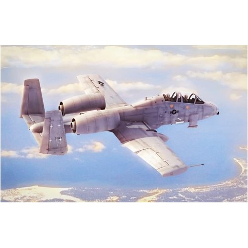 HobbyBoss 1/48 N/AW A-10A "THUNDERBOLT" II Plastic Model Kit [80324]