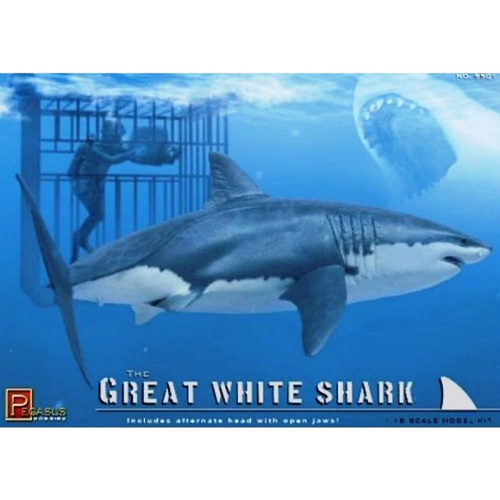 Pegasus - 1/18 Great White Shark