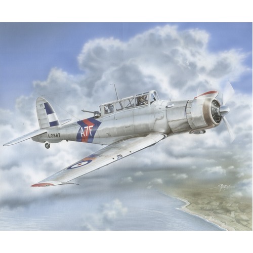 Special Hobby - 1/48 Blackburn Skua Mk.II "Silver Finish" Plastic Model Kit