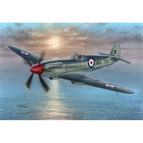 Special Hobby - 1/72 Supermarine Seafire Mk.45 Plastic Model Kit