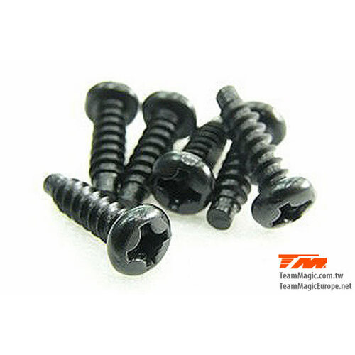 3x10mm Steel RH TP Screw (cross) (6)