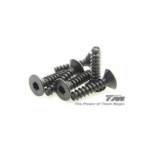 3x12mm Steel F.H. Self-Tapping Screw (6)