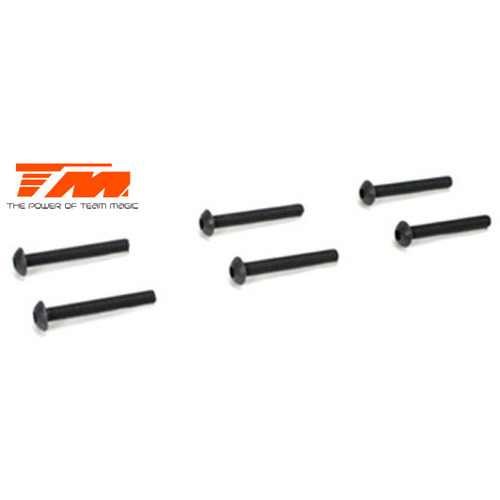 3.5x25mm Steel BH Screw (6)