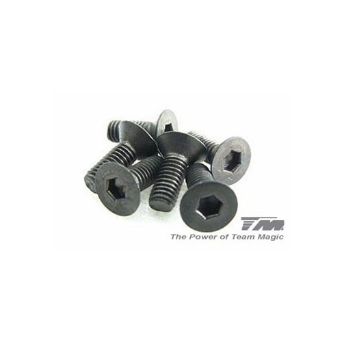 3x8mm Steel F.H. Screw (6)