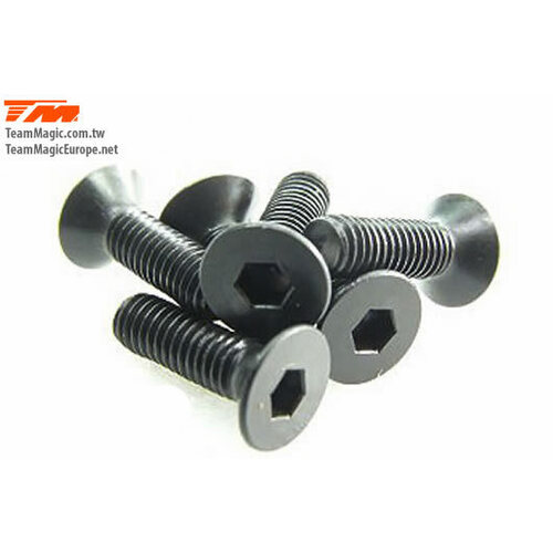 3x10mm Steel F.H. Screw (6)