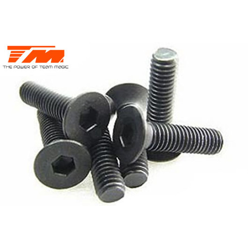 3x14mm Steel FH Screw (6)