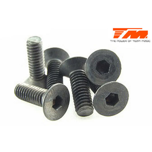 4x12mm Steel F.H. Screw (6)