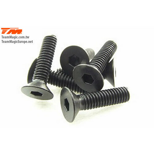 4x16mm Steel FH Screw (6)