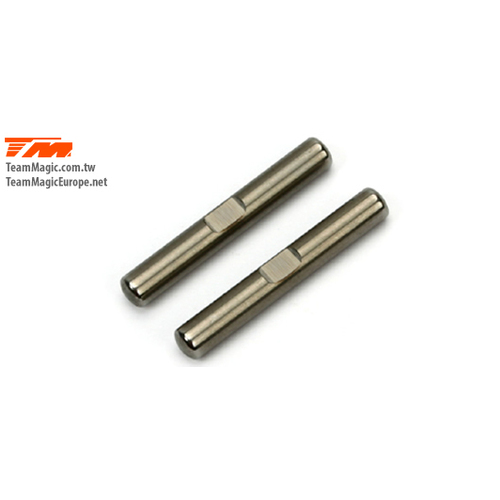 E4J Rear Lower Outer Hinge Pin (2)