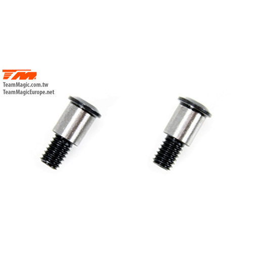 E4D MF Steering System Screw (2)